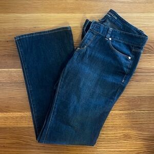 Ann Taylor Modern Boot Style Denim